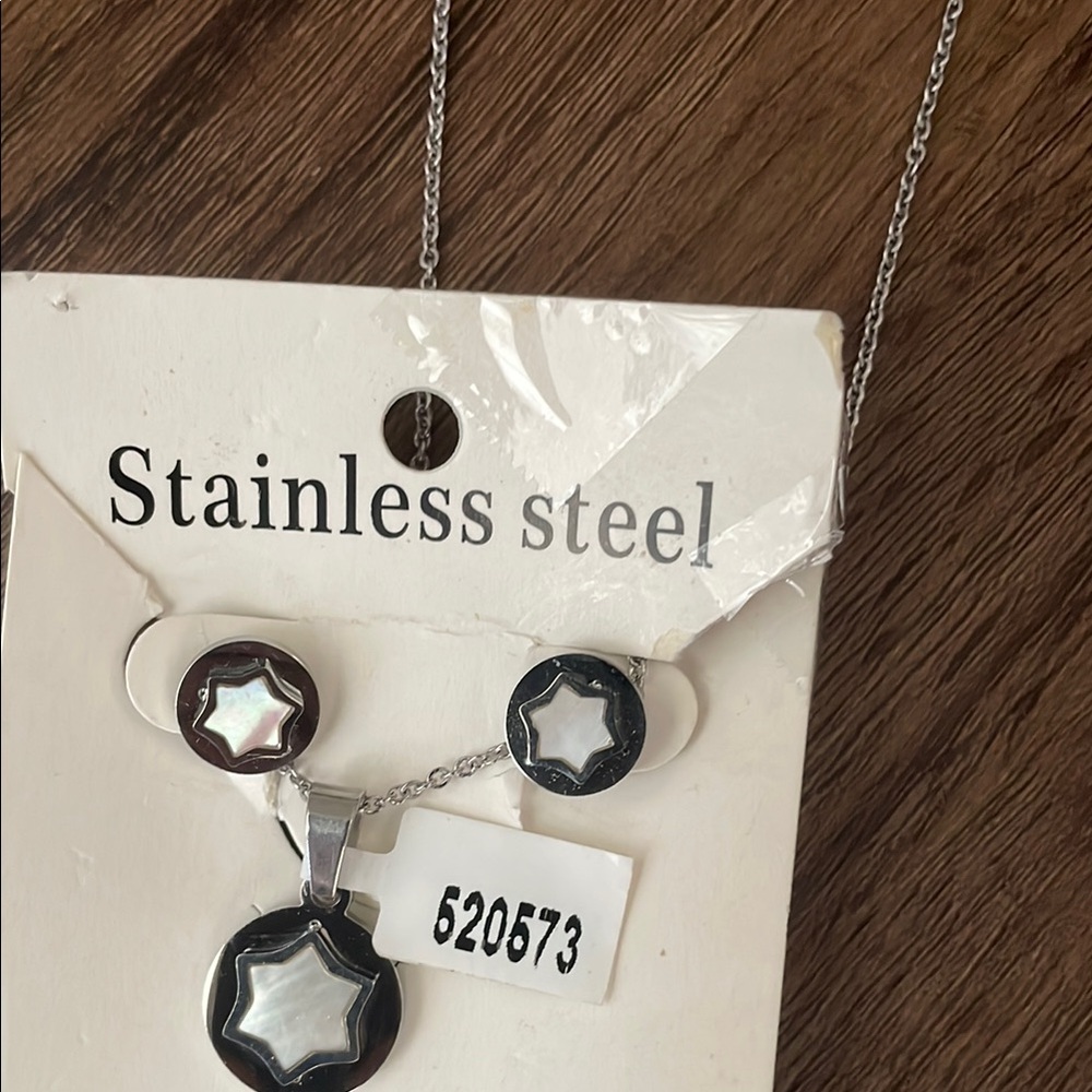 Stainless steel Matching Set Necklace & Earrings NWT
